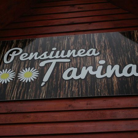 Pensiunea Tarina Шункуйюш Экстерьер фото
