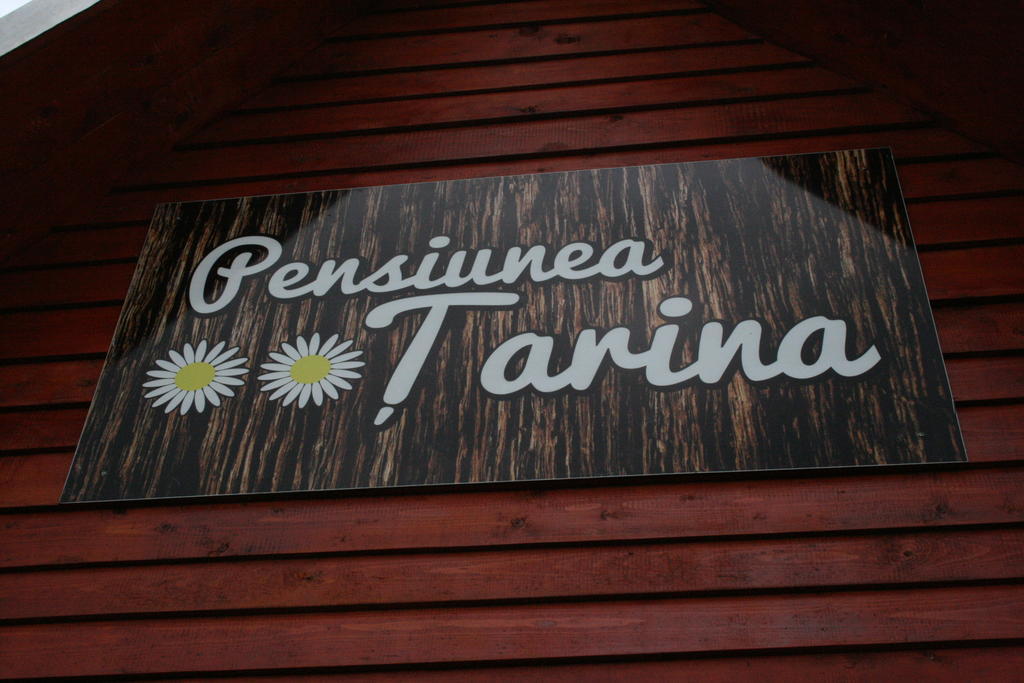 Pensiunea Tarina Шункуйюш Экстерьер фото