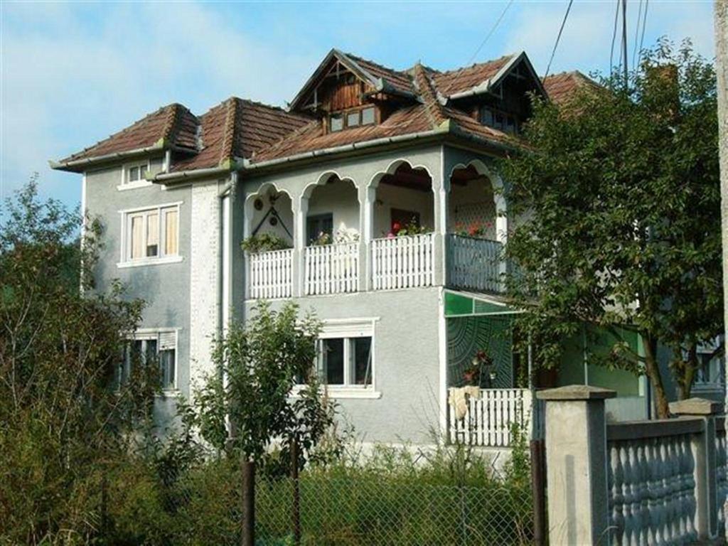 Pensiunea Tarina Шункуйюш Экстерьер фото
